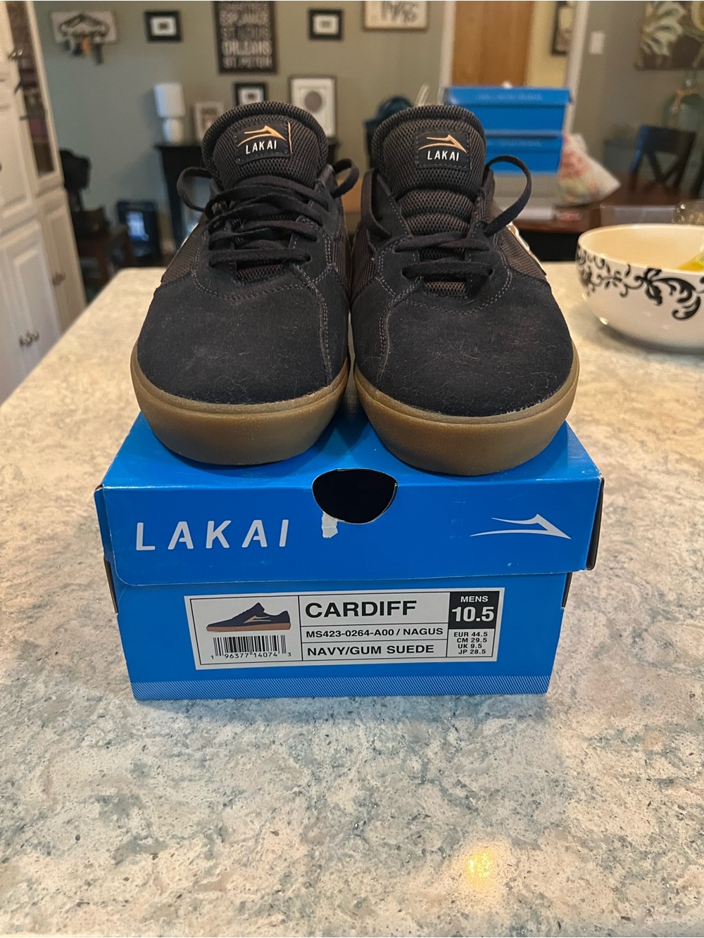 Cardiff Men's Navy Suede Skate Shoes with Gum Sole